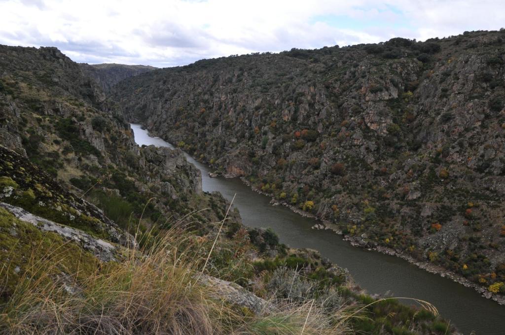 Posada Real La Mula De Los Arribes Villardiegua de la Ribera Bagian luar foto