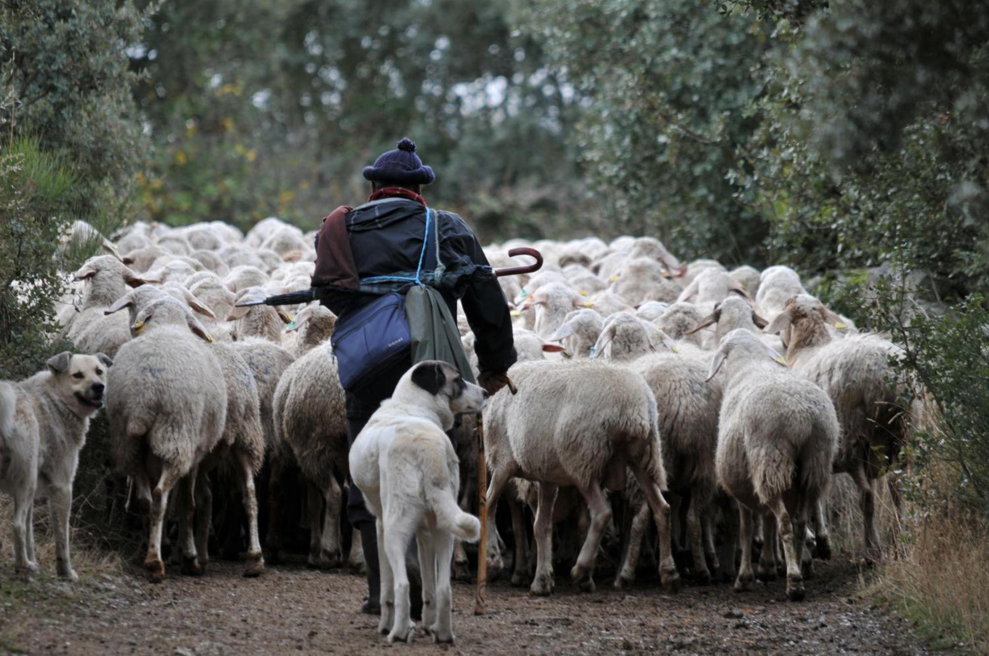 Posada Real La Mula De Los Arribes Villardiegua de la Ribera Bagian luar foto