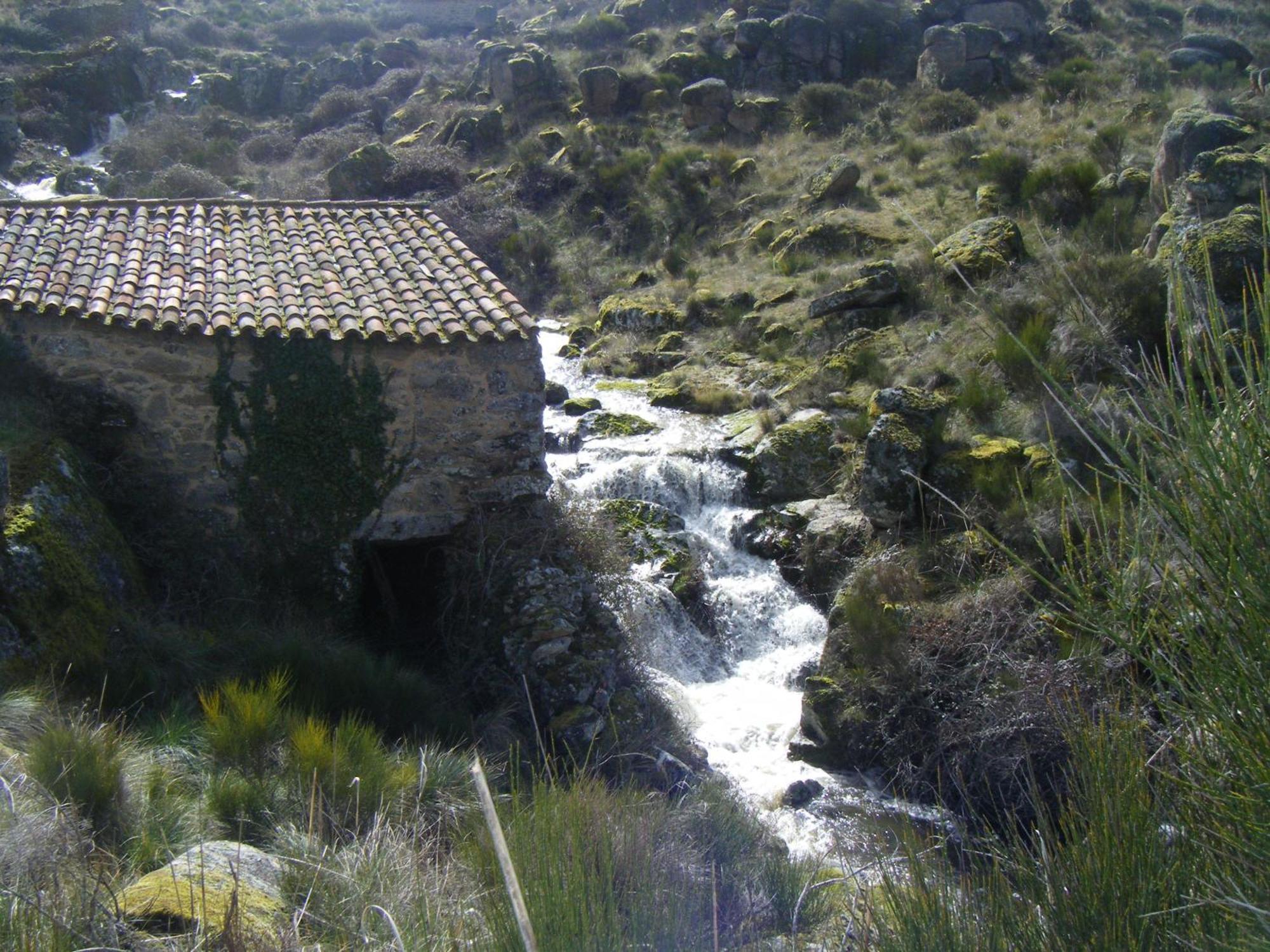 Posada Real La Mula De Los Arribes Villardiegua de la Ribera Bagian luar foto