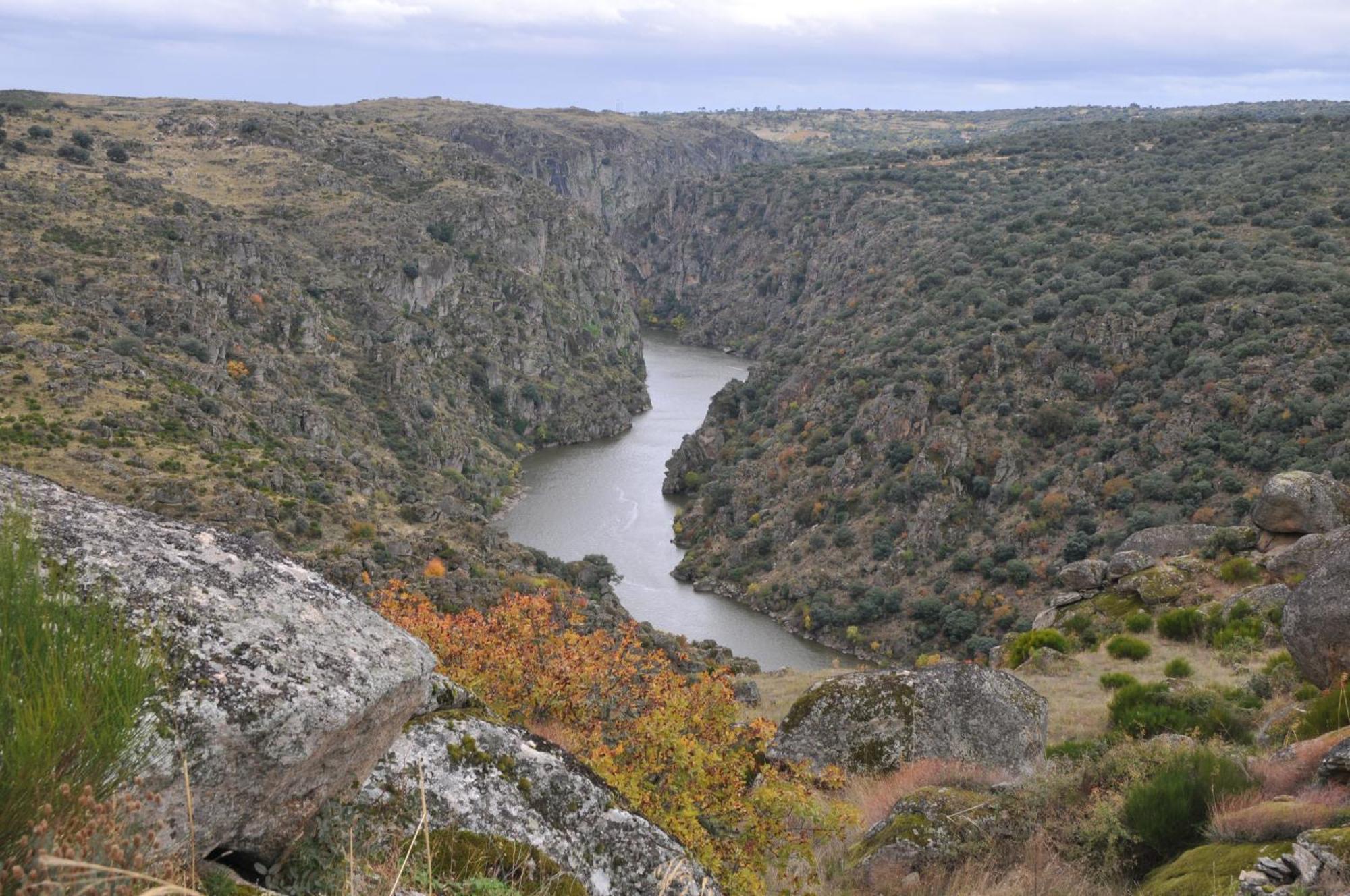 Posada Real La Mula De Los Arribes Villardiegua de la Ribera Bagian luar foto